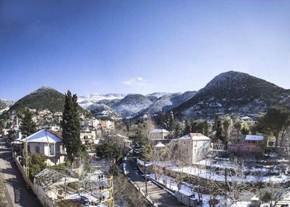 المرفق من بزبينا لبنان.jpg