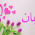 eman hnayni