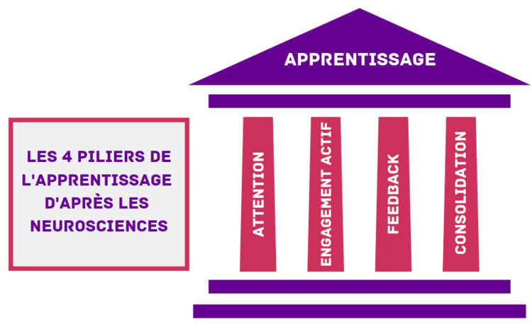 Piliers de l'apprentissage, S. Dehaene
