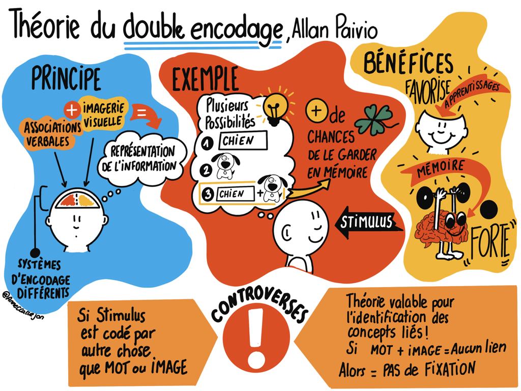 Sketchnote présentant les principes de la théorie du double encodage.